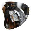 image of hair foils in dark brown hair